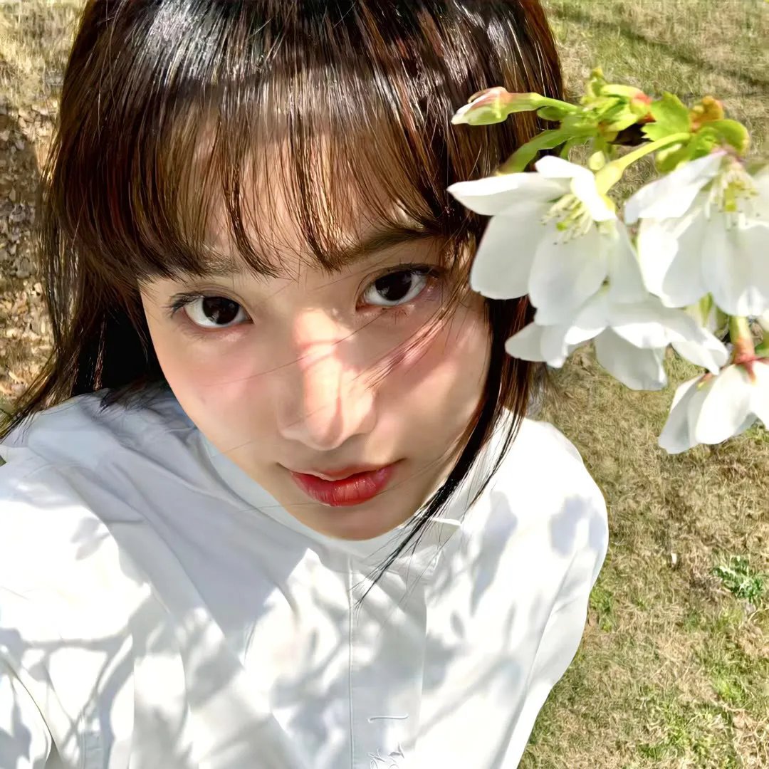 红日